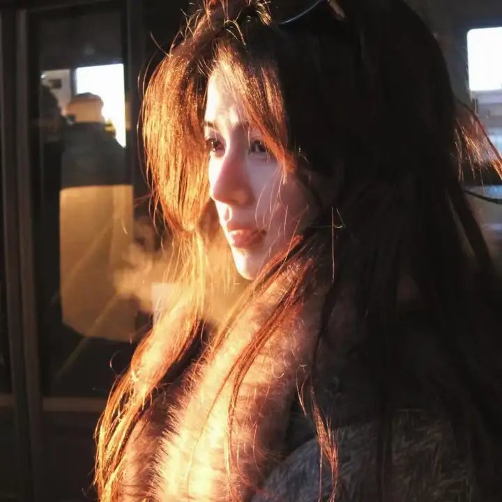 苦菜花